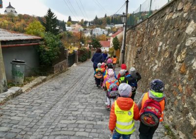 Zajačiky - Výlet do Botaniky