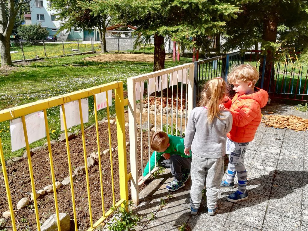 Zajačiky - Aktivity na školskom dvore